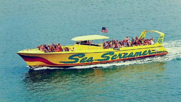 Small Group Clearwater Beach,Dolphin Watch Tour from Orlando - What to Expect from the Tour