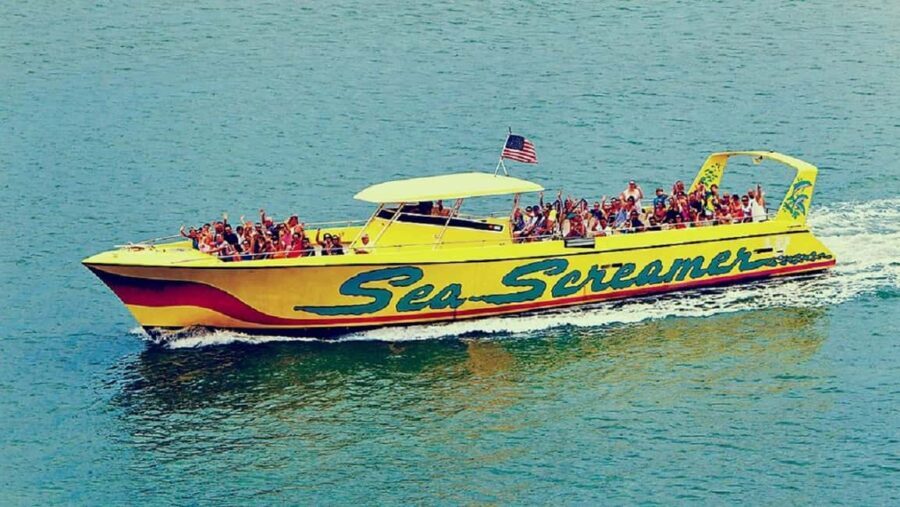 Small Group Clearwater Beach,Dolphin Watch Tour from Orlando - What to Expect from the Tour