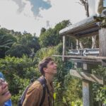 Small Group Daytime 2-Hour Eco Wildlife Tour at Zealandia - How the Experience Is Valued