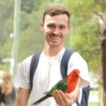 Small-Group Great Ocean Road Classic Day Tour from Melbourne - Who Is This Tour Best For?