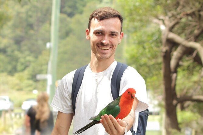 Small-Group Great Ocean Road Classic Day Tour from Melbourne - Who Is This Tour Best For?