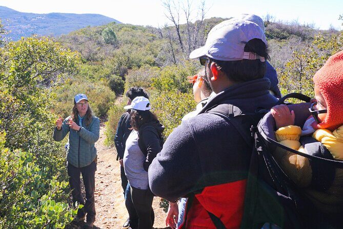 Small Group Hike Through San Diego's Heart and Soul - Who Will Love This Tour?