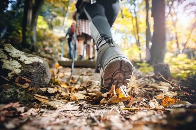 Small Group Hiking Around The Pinecrest Lake Trail - What the Tour Involves