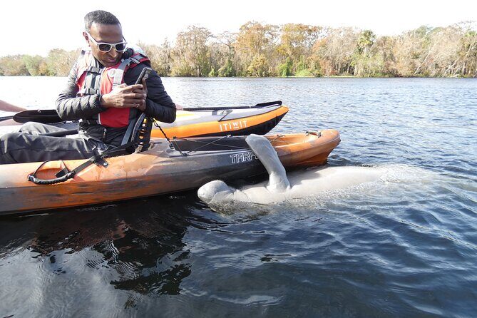 Small Group Manatee Discovery Kayak Tour near Orlando - The Experience from the Reviews