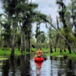 Small-Group Manchac Swamp Kayak Tour - What the Tour Offers: A Full Breakdown