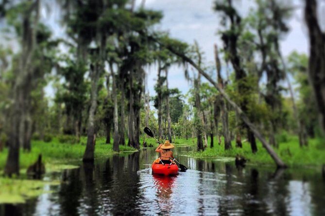 Small-Group Manchac Swamp Kayak Tour - What the Tour Offers: A Full Breakdown