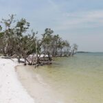 Small Group Motorboat Eco Tour of the Everglades - What Travelers Are Saying: Authentic Feedback