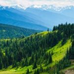 Small Group: Olympic National Park Day Tour From Seattle - The Highlights: Hurricane Ridge and Lake Crescent