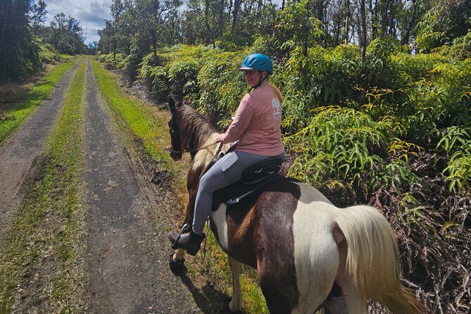 Small Group Rainforest Trail Ride - Who Should Consider This Tour?