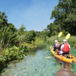 Small Group Rock Springs Run Eco Kayak Adventure - Equipment, Safety, and Comfort