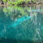Small Group Silver Springs State Park Day Tour from Orlando - What Past Travelers Say