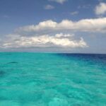 Small group snorkeling (5 people max): wrecks & tropical fishes at 1:00pm - Why This Snorkeling Tour Stands Out