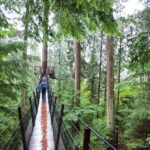 Small group tour of Capilano Bridge & Grouse Mountain - Is it Worth the Price?