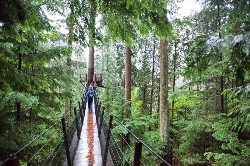 Small group tour of Capilano Bridge & Grouse Mountain - Is it Worth the Price?