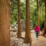 Small Group Tour: Vancouver Sightseeing and Capilano Suspension Bridge - What’s Included and What’s Not