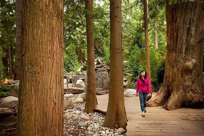 Small Group Tour: Vancouver Sightseeing and Capilano Suspension Bridge - What’s Included and What’s Not