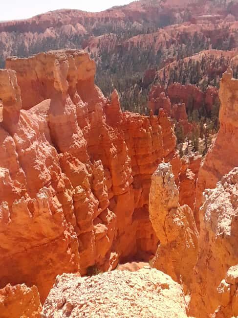 Small Group Tour Zion & Bryce Canyon National from Las Vegas - Is the Price Worth It?