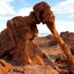 Small Group Valley of Fire Half Day Hiking Tour from Las Vegas - In-Depth Look at the Itinerary