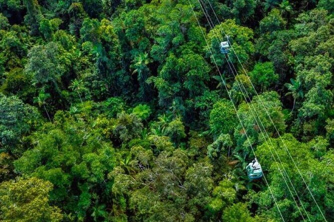 Small Group Waterfall Wetlands+ Skyrail All Inclusive from Cairns - Real Traveler Feedback