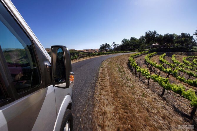Small-Group Wine Tasting Tour of Santa Barbara Wine Country - Who Will Love This Tour?