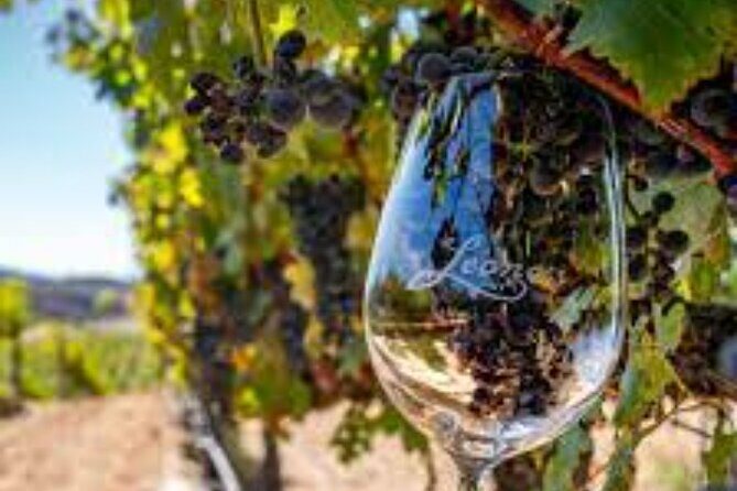 Small Group Wine Tour to Temecula from Los Angeles - Authentic Voice from Reviews