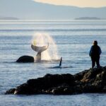 Smartphone Driving Tour between Santa Maria & Monterey 'Big Sur' - Who should consider this tour?