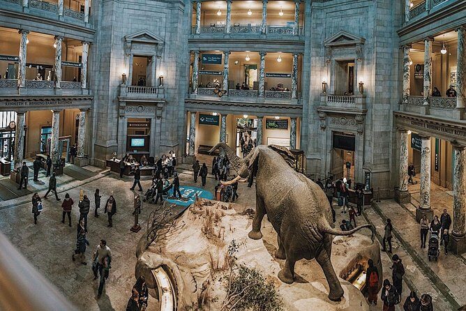 Smithsonian Museum of Natural History - Exclusive Guided Tour - What to Expect from the Smithsonian Museum Guided Tour