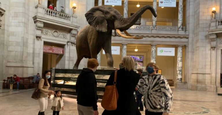 Smithsonian National Museum of Natural History Guided Tour - Who Will Benefit Most?