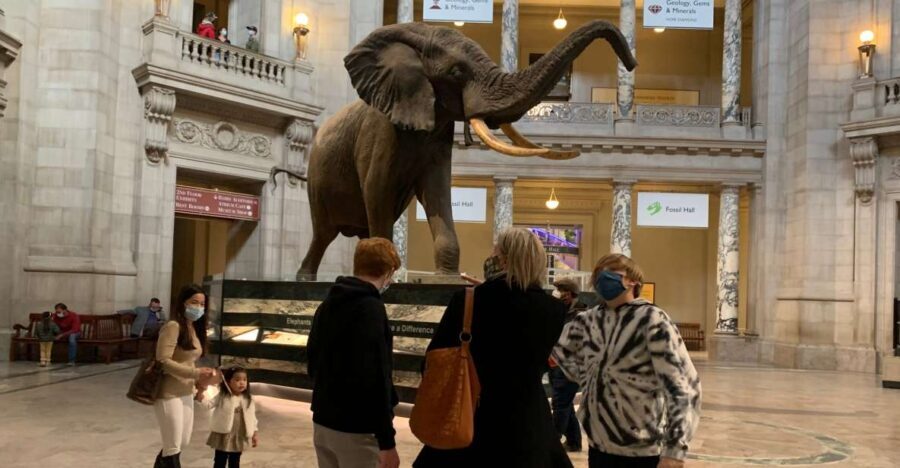 Smithsonian National Museum of Natural History Guided Tour - Who Will Benefit Most?