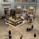 Smithsonian National Museum of Natural History with Guided Tour - The Actual Tour Experience