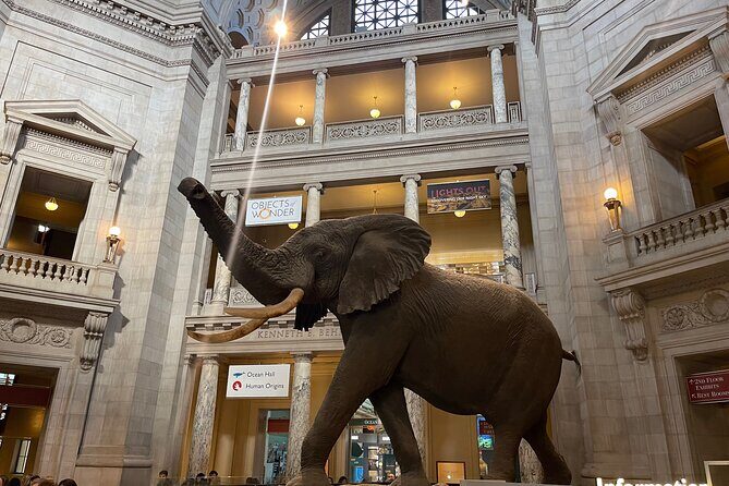 Smithsonian Natural History Museum Semi-Private Guided Tour - Is It Worth the Price?