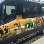 Smoky Mountain Guided Scenic High Van Tour - What Makes This Tour Stand Out