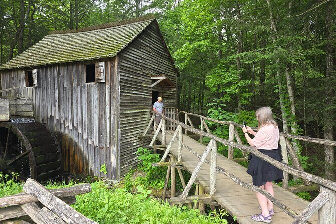 Smoky Mtn Cades Cove, RR/Logging Museum-Foothills Pky Spring Tour - The Practical Side: What’s Included and What’s Not