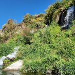 Snake River Rafting - Final thoughts