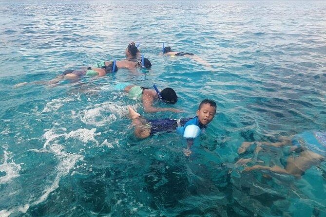 Snorkel Adventure at Cozumel! Transportation from Cancun & Playa Del Carmen - The Group Size and Atmosphere