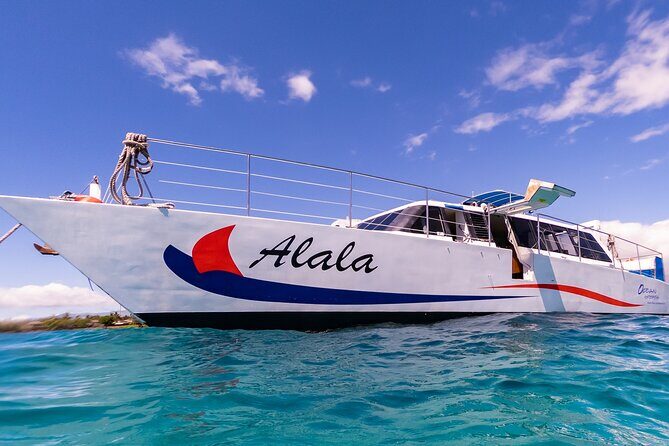 Snorkel Adventure from Kawaihae Harbor - The Itinerary in Detail