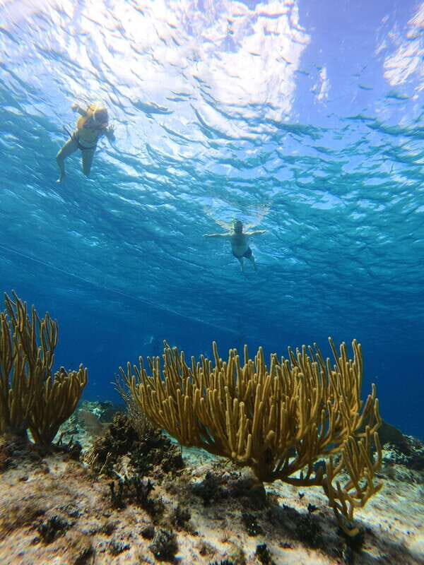 Snorkel along the coast with Chivis Del Mar. - The Experience from Real Travelers