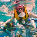 Snorkel and swim in Cozumel el Cielo Reef, Palancar and Colombia - What Makes Each Reef Special