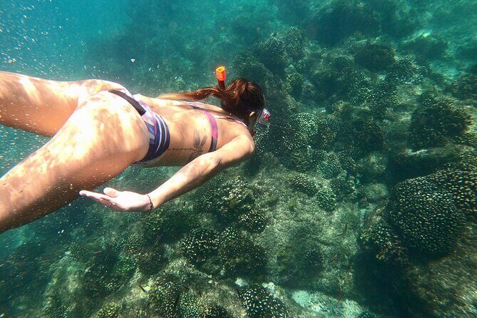 Snorkel and Whale Platinum Tour (Dec 15- Apr 15) - Value and Cost Analysis