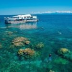 Snorkel & Dive the Reef: Sustainable, Scientific & Cultural Tour - Activities at the Reef: Something for Everyone