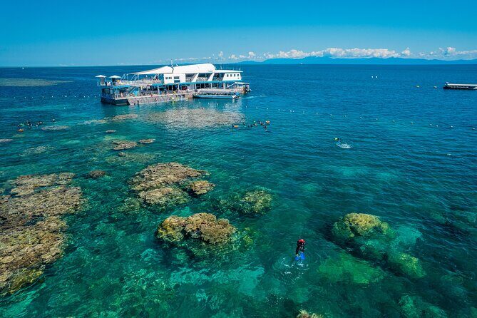 Snorkel & Dive the Reef: Sustainable, Scientific & Cultural Tour - Activities at the Reef: Something for Everyone