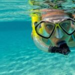 Snorkel Fort Lauderdale Jean Cousteaus Reef and Snorkel Trail - Who is This Tour Best For?
