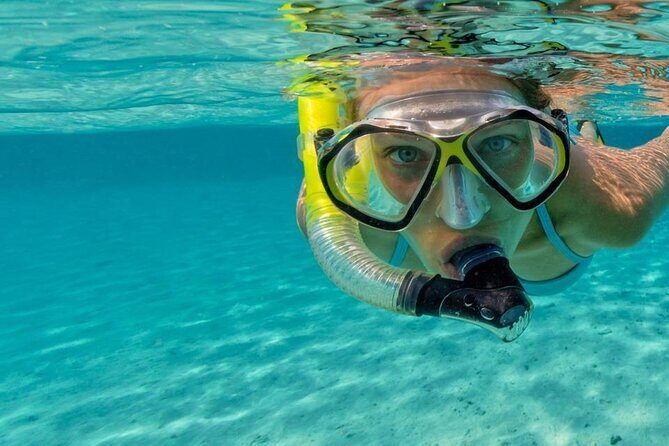 Snorkel Fort Lauderdale Jean Cousteaus Reef and Snorkel Trail - Who is This Tour Best For?