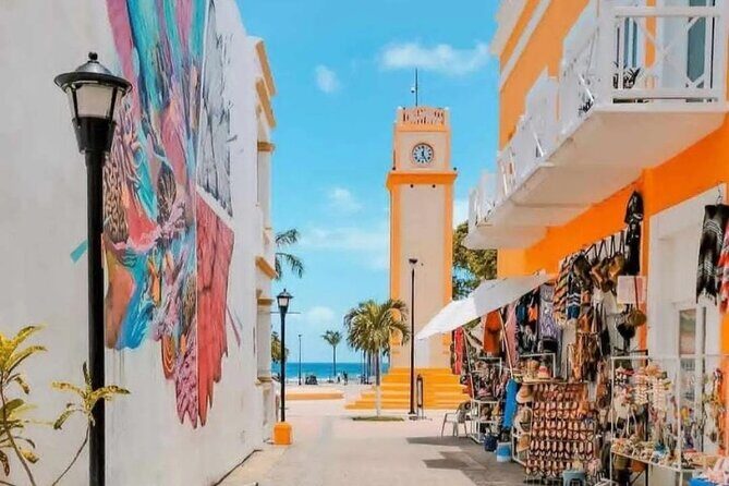 Snorkel in Paradise Cozumel El Cielito Palancar Reef Colombia - Who Is This Tour Best For?