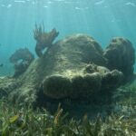 Snorkel Paradise Cancun 5 in 1 For Non Swimmers - Value and Cost Considerations