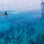 Snorkel, Sandbar & Dolphin Excursion - Price and Value Analysis