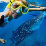 Snorkel with a Whale Shark In Los Cabos - Whats Included and How Does It Add Value?