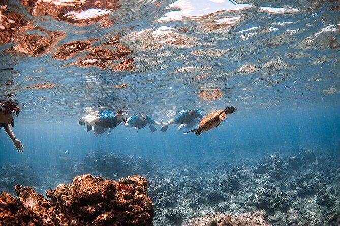 Snorkel with Turtles and Free Underwater Photos Lahaina - FAQs