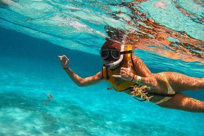 Snorkeling Adventure in Tulum Beach, Kaan Luum Lagoon and Cenote - Is It Worth the Price?