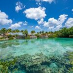 Snorkeling Adventure with Lunch and Tequila Tour - From the Reviews (and What to Expect)